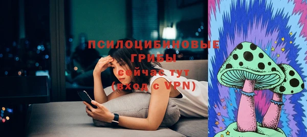 мяу мяу мука Алзамай