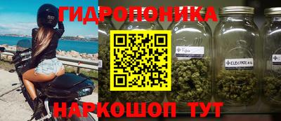 сатива Бузулук