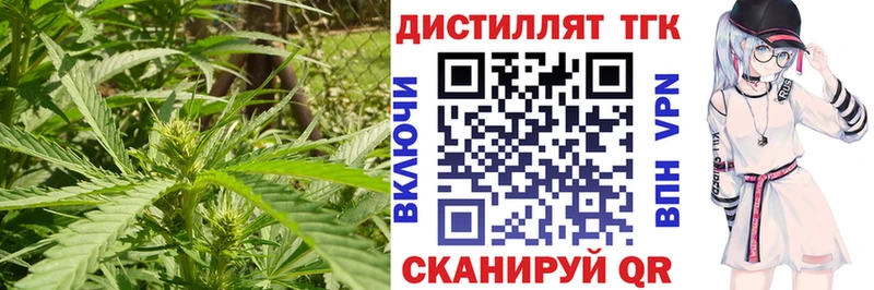 Дистиллят ТГК гашишное масло  где найти   Котовск 