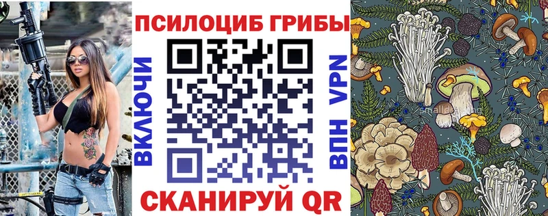 Псилоцибиновые грибы мухоморы где найти наркотики blacksprut зеркало Котовск
