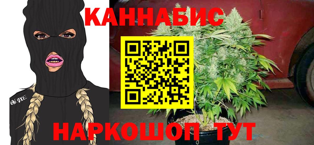 Бошки Шишки MAZAR Котовск